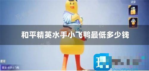 《和平精英》水手小飞鸭最低多少钱？
