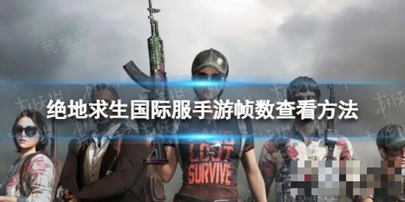 《绝地求生》国际服手游怎么看帧数多少？(绝地求生国际服下载)