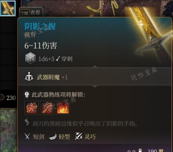 《博德之门3》阴影之握怎么获取？阴影之握获取方法(博德之门3阴影之拥修道院失落门槛)