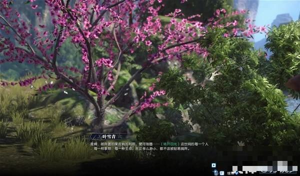 游戏吧