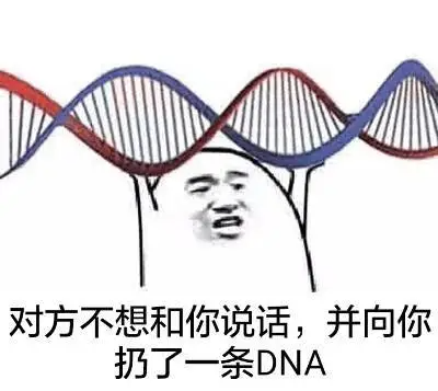 陈丽君携《新龙门客栈》上浪姐5，却没赢过6000万年轻人投票的她？(陈丽君李云宵新龙门剧情)