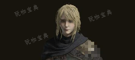 《艾尔登法环》皮革套装获得攻略(艾尔登法环 nga)