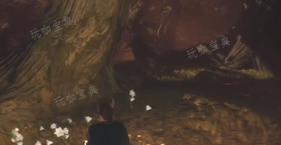 龙之信条2怎么学习精灵语？学习精灵语方法介绍(龙之信条2周目)