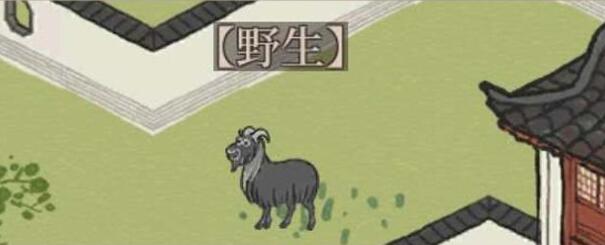 江南百景图小动物山羊图鉴(江南百景图小动物怎么突然没有了)
