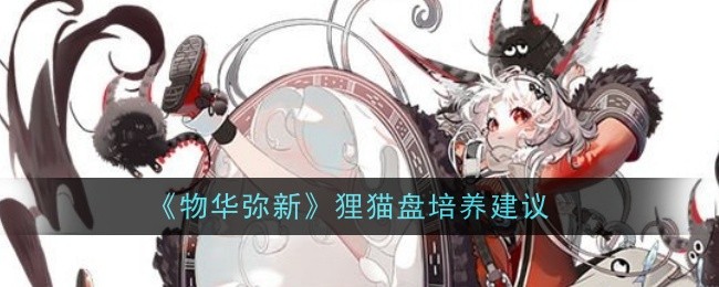 物华弥新狸猫盘值得培养吗？狸猫盘培养建议