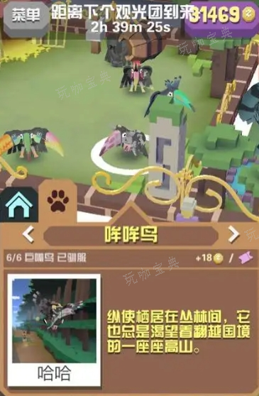 《疯狂动物园》澳洲都有什么动物