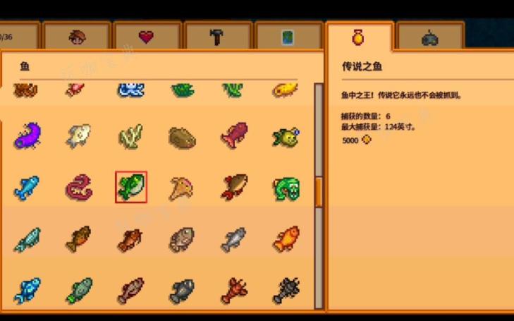 《星露谷物语》冬季的鱼有哪些
