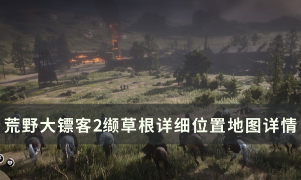《荒野大镖客2》缬草根怎么获得 缬草根详细位置地图详情？(荒野大镖客2手机版下载安装)