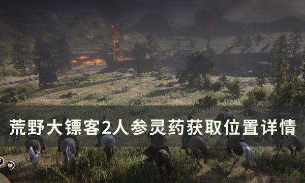 《荒野大镖客2》人参灵药怎么获得？ 人参灵药获取位置详情(荒野大镖客2捕兽人位置)