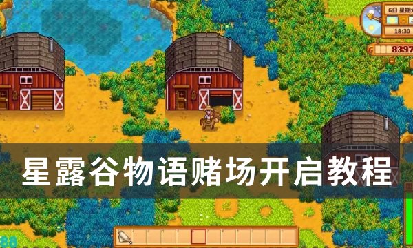 《星露谷物语》赌场怎么开？ 赌场开启教程(星露谷物语赌场怎么一直赢)