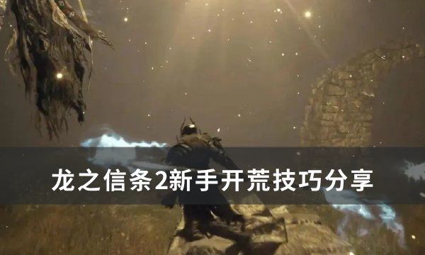 《龙之信条2》新手开荒怎么玩？ 新手开荒技巧分享(switch龙之信条2)