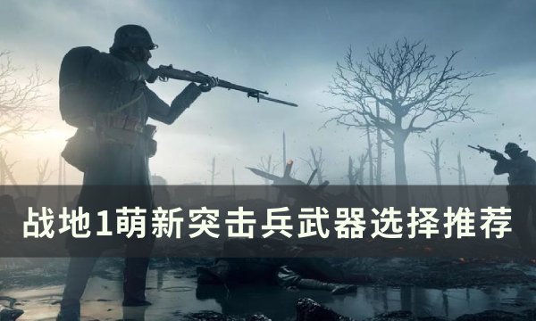 《战地1》突击兵武器怎么选？ 萌新突击兵武器选择推荐(战地1突击兵mp18)