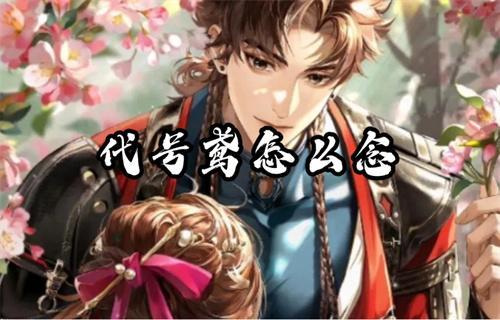 代号鸢怎么念？(代号鸢怎么下载)