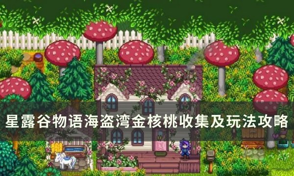 《星露谷物语》海盗湾有几个金核桃 海盗湾金核桃收集及玩法攻略(星露谷物语海胆在哪里获得)