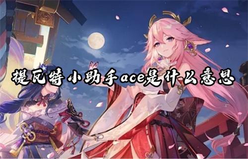 提瓦特小助手ace是什么意思？(提瓦特小助手ACE高吗)