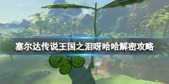 塞尔达传说王国之泪呀哈哈解密攻略(塞尔达传说王国之泪)