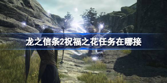 龙之信条2祝福之花任务在哪接？(龙之信条二周目继承什么)