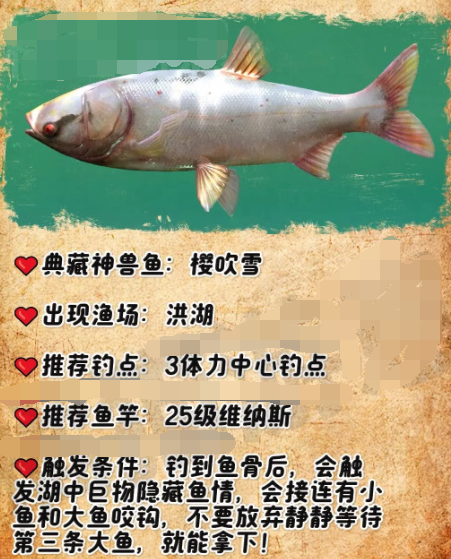 欢乐钓鱼大师典藏神兽鱼有哪些？(欢乐钓鱼大师典藏神兽鱼图鉴)