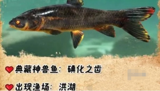 欢乐钓鱼大师体力怎么用好 最佳使用体力规划推荐图片2
