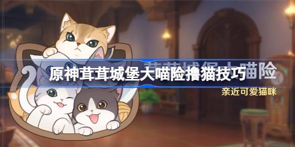 原神茸茸城堡大喵险怎么撸猫？(原神活动猫茸茸城堡)