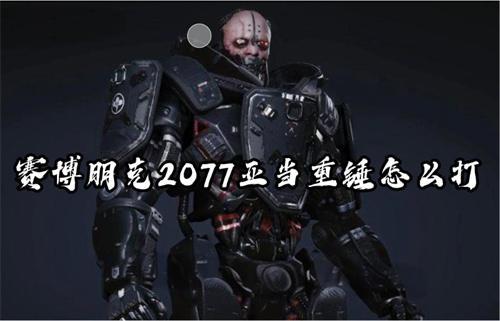 赛博朋克2077亚当重锤怎么打？(赛博朋克2077生殖系统有啥用)
