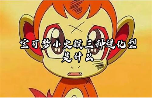 宝可梦小火猴三种进化型是什么？(宝可梦小火猴是哪个版本)