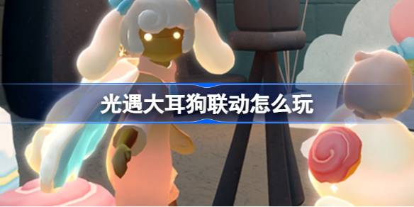 光遇大耳狗联动怎么玩？(大耳狗徽章盲盒攻略)
