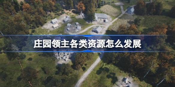 庄园领主各类资源怎么发展？(庄园领主下载)