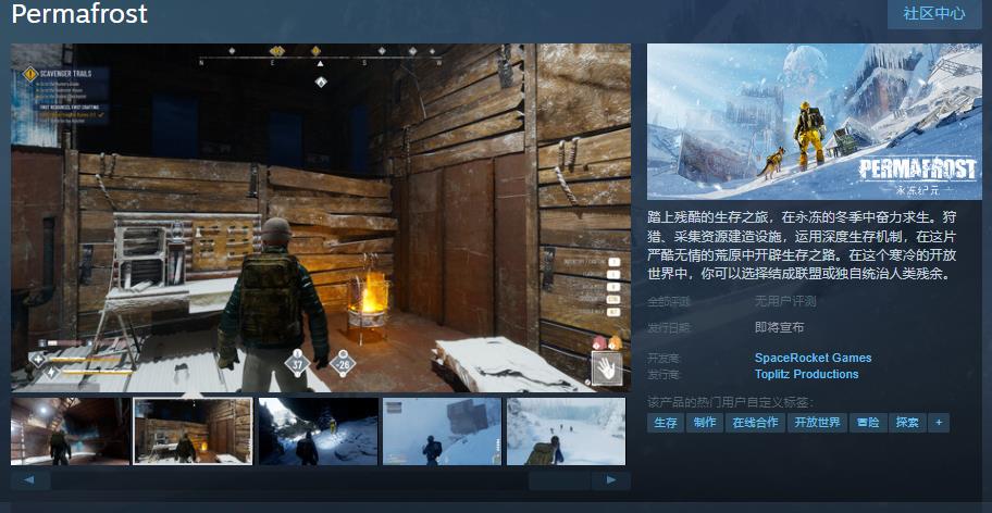《永冻纪元》Steam页面上线 发售日待定(永冻队)