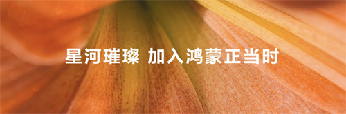 技术赋能构筑鸿蒙生态精品游戏，PGS 2.0全新升级加速原生游戏商用化进程