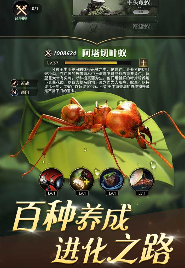 小小蚁国手游