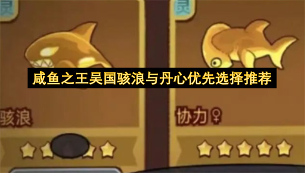 咸鱼之王吴国角色培养：骇浪和丹心系统的优先度推荐指南(咸鱼之王游戏入口)