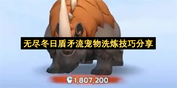 无尽冬日盾矛流宠物如何洗炼(无尽寒冬最强阵容)