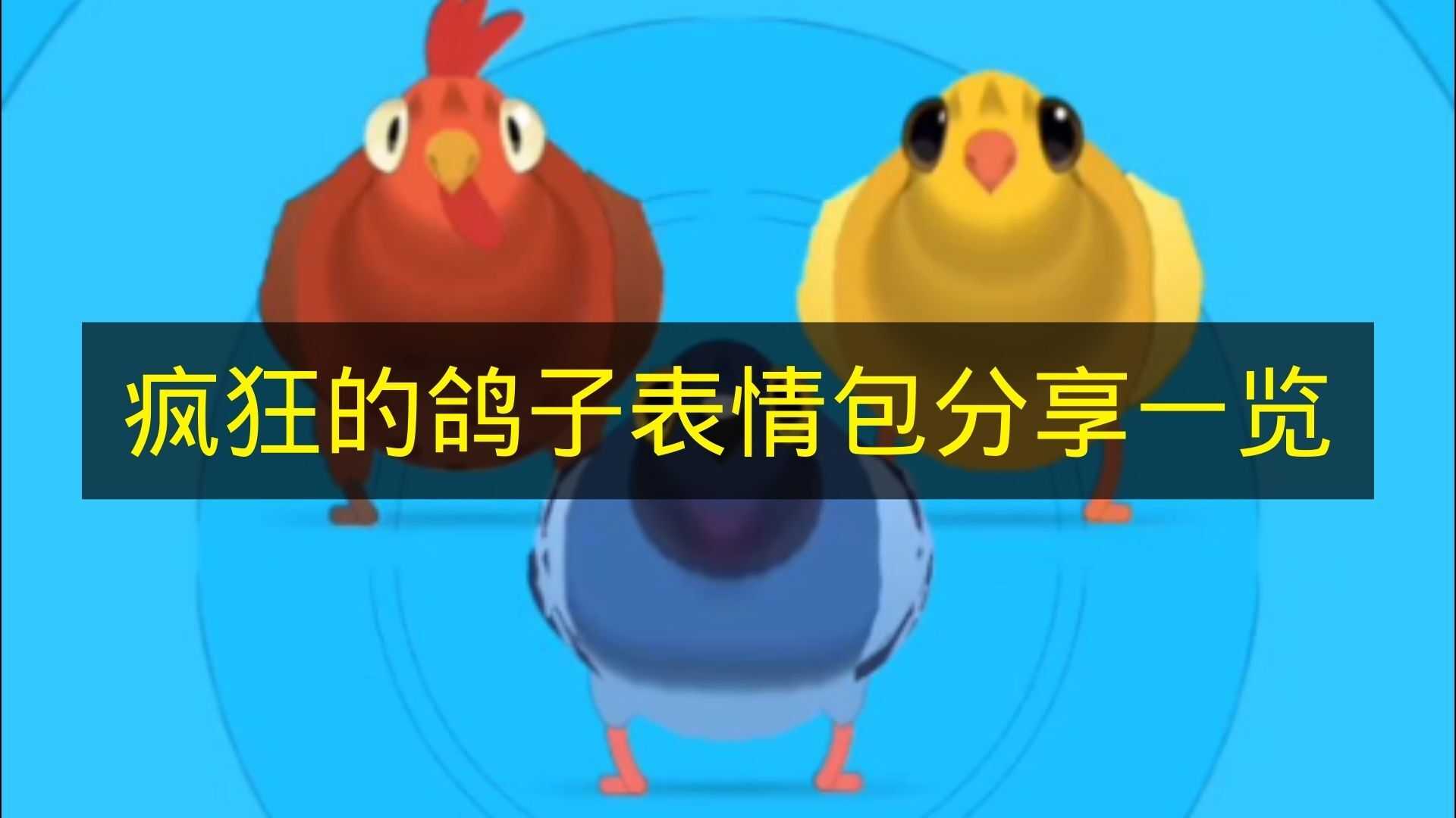 《疯狂的鸽子》表情包分享盘点(疯狂烤鸽总店地址槐安路东二环交叉口北行500米路东)