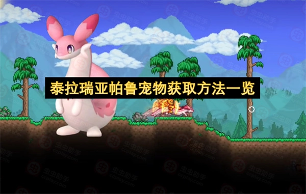 泰拉瑞亚帕鲁宠物怎么得？全获取方式汇总(泰拉瑞亚宠物排名哪个宠物最厉害)