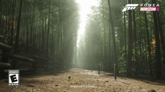 《极限竞速地平线6》环境曝光：竹林樱花道景致超赞！(极限竞速地平线5免费下载)